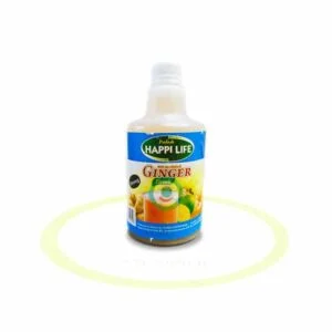 Ginger Drink - Padosh - 0,5l