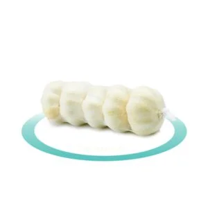 Ail - Dinosaurs - Filet 200g
