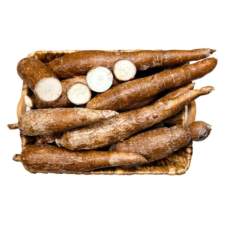 tubercules de manioc