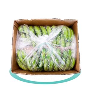 Carton de bananes plantains vertes - 22kg