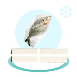 Carton de Carangues entières congelées - 10kg