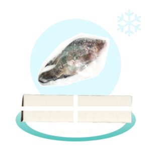 Carton de Tilapia - 3,2kg